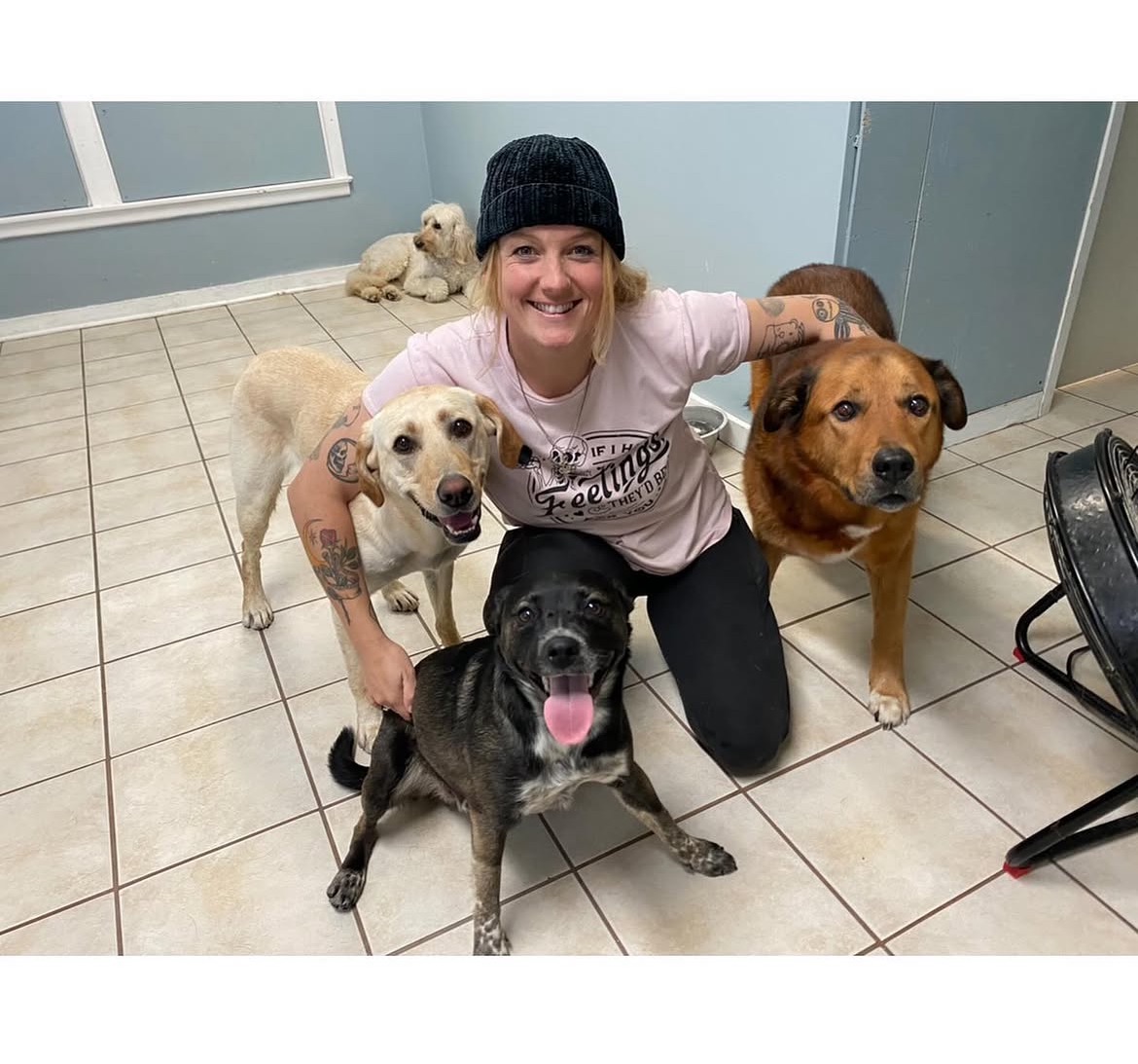 Nikki with a group of happy dogs